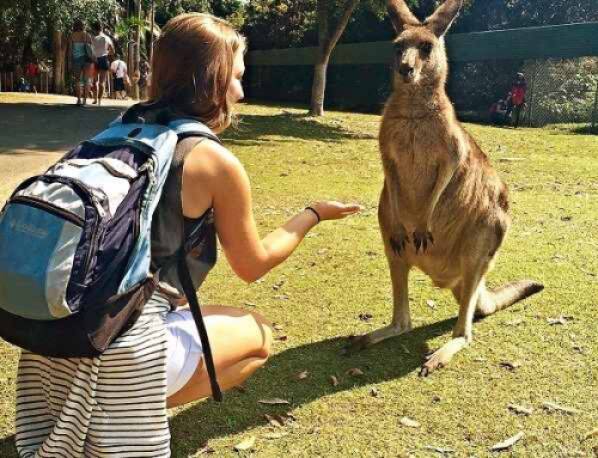 HTM Australia
